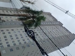 Imagem do imóvel AP39920