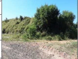 Imagem do imóvel TE73251