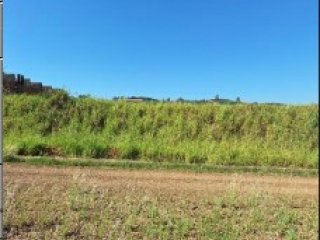 Imagem do imóvel TE32019