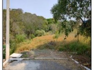 Imagem do imóvel TE75572