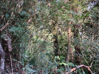 Imagem do imóvel TE90460