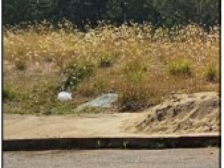 Imagem do imóvel TE65357