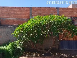Imagem do imóvel CA85032