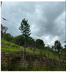 Imagem do imóvel TE17409
