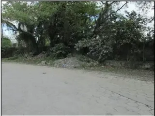 Imagem do imóvel TE89240